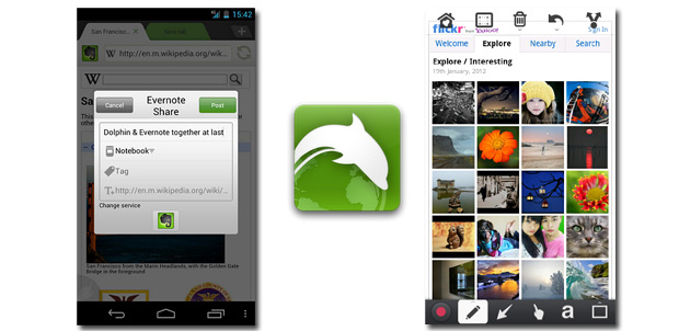 Dolphin-Evernote