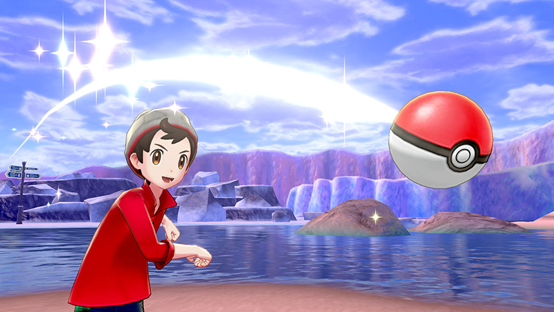 Pokemon Sword Pokemon Shield pokebola