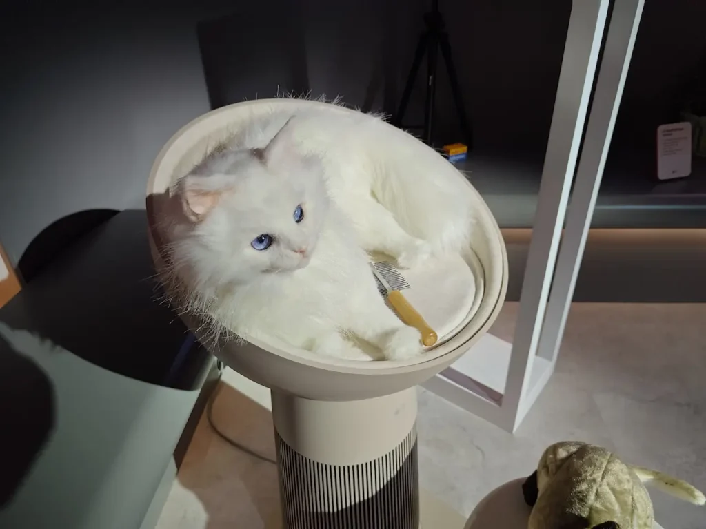 LG AeroCat cama
