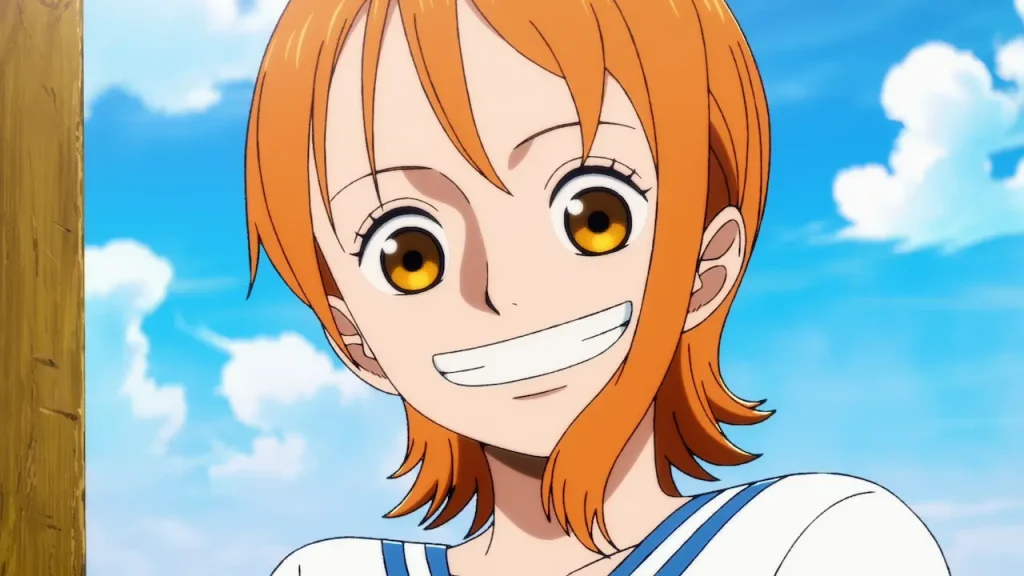 The One Piece Netflix nani