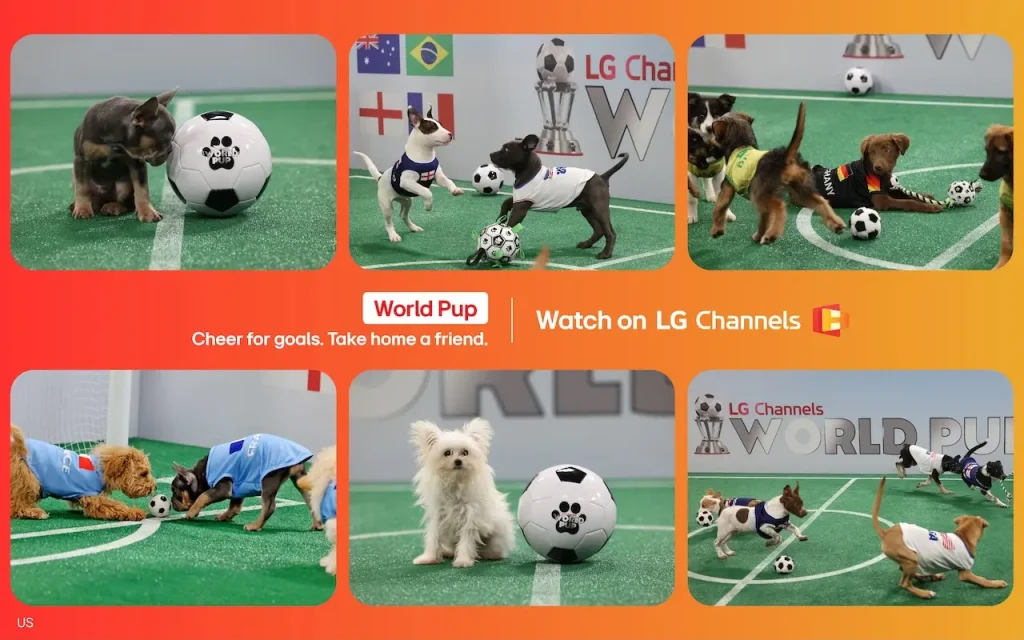 LG Channels 5000 canales perros copia