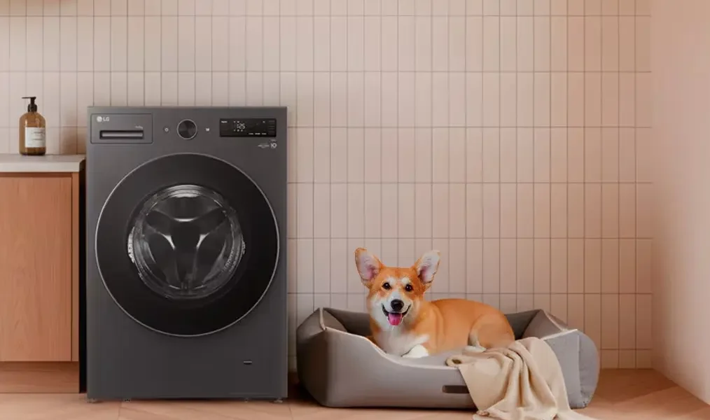 La tecnología Pet Care de LG es la mejor para disfrutar de tu mascota LG Pet Care Mexico