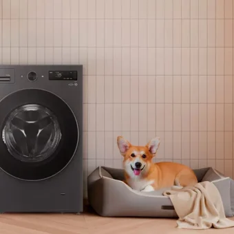 La tecnología Pet Care de LG es la mejor para disfrutar de tu mascota LG Pet Care Mexico