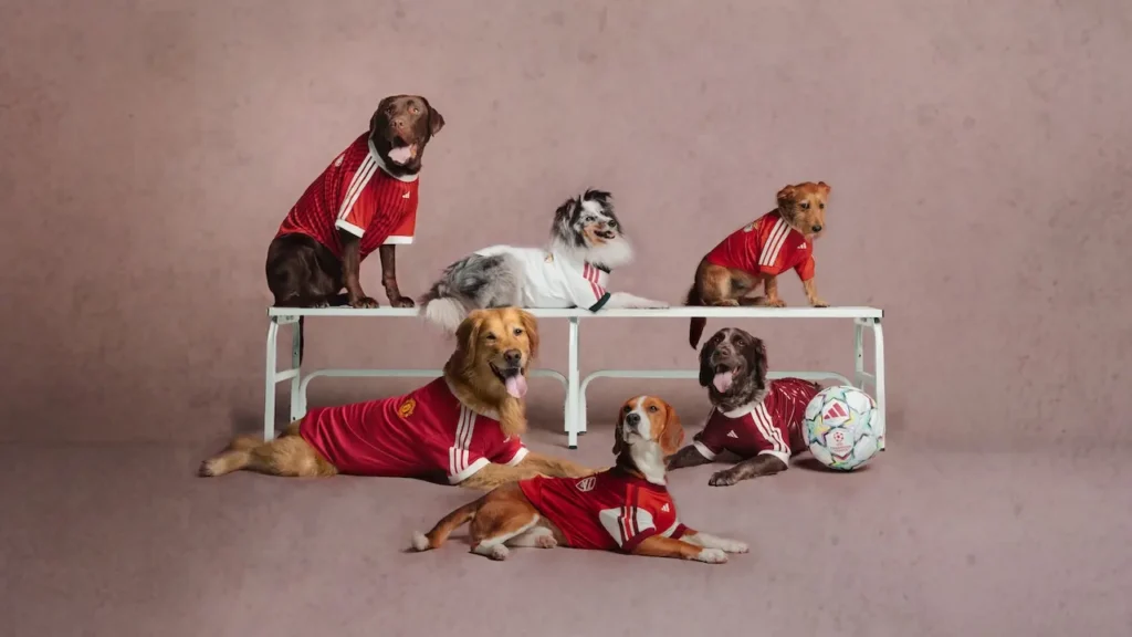 jerseys para mascotas