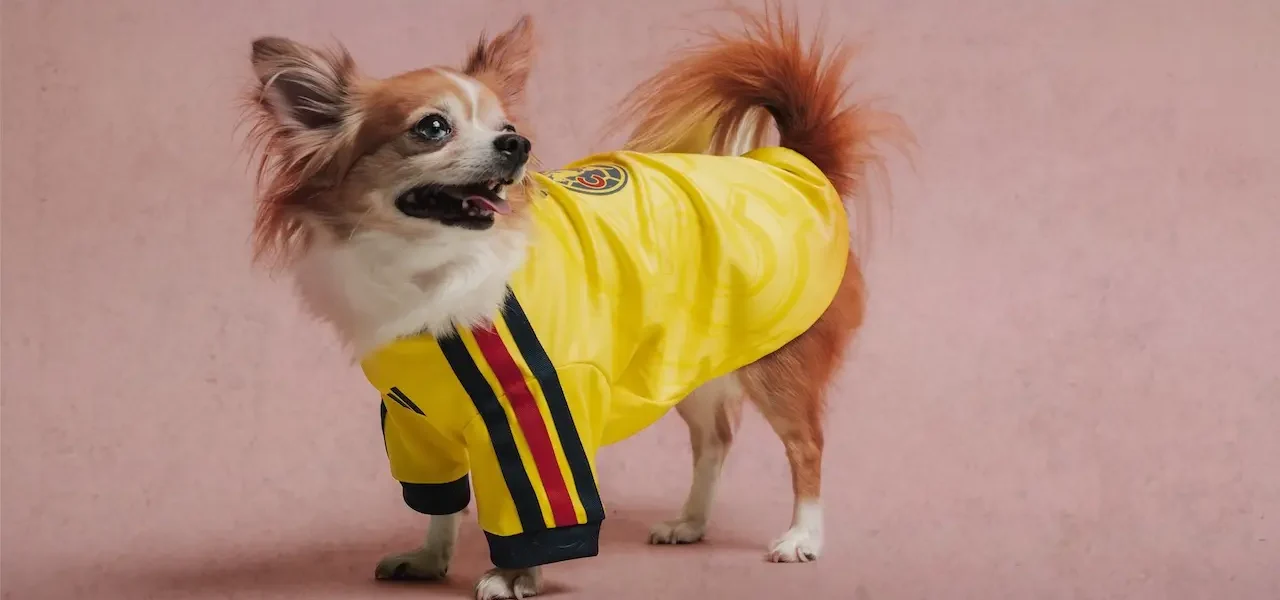 adidas presenta jerseys para mascotas del América, Real Madrid y otros equipos jerseys para mascotas America