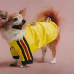 adidas presenta jerseys para mascotas del América, Real Madrid y otros equipos jerseys para mascotas America