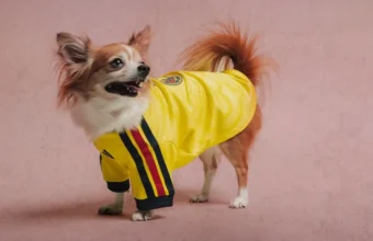 jerseys para mascotas America